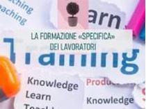 Immagine di La formazione "specifica" dei lavoratori